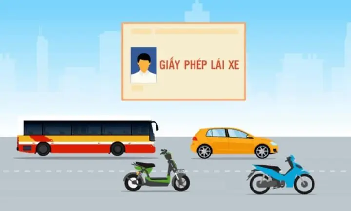 Bằng Lái Xe Ô Tô Là Hạng Gì? Phân Loại Chi Tiết Từ B1 Đến F