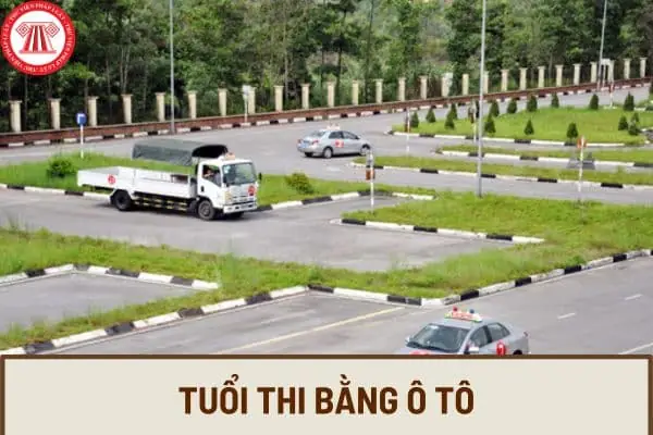 Bao Nhiêu Tuổi Được Thi Bằng Lái Xe Ô Tô? Các Hạng Bằng Và Điều Kiện Bao Nhiêu Tuổi Được Thi Bằng Lái Xe Ô Tô? Các Hạng Bằng Và Điều Kiện
