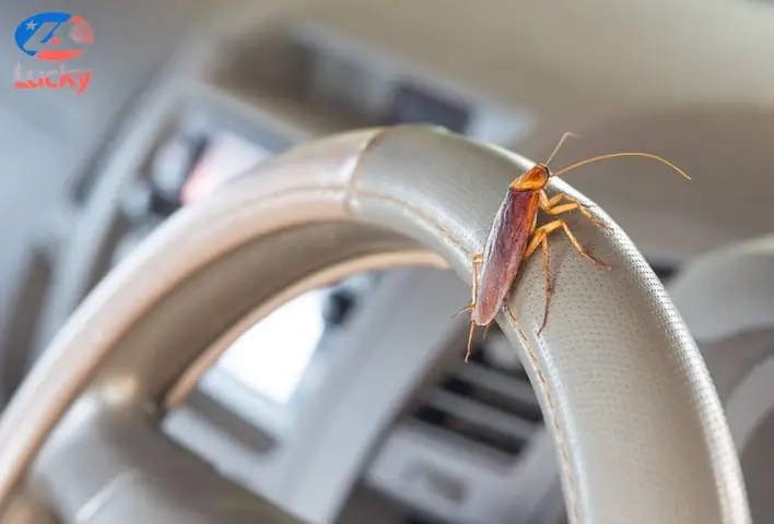 Cách Diệt Gián Trên Xe Ô Tô Hiệu Quả, An Toàn Và Tận Gốc Cách Diệt Gián Trên Xe Ô Tô Hiệu Quả, An Toàn Và Tận Gốc