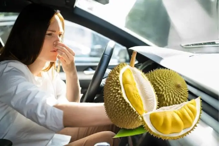 Cách Khử Mùi Sầu Riêng Trên Xe Ô Tô: Giải Pháp Thực Tế Cho Chủ Xe Cách Khử Mùi Sầu Riêng Trên Xe Ô Tô: Giải Pháp Thực Tế Cho Chủ Xe