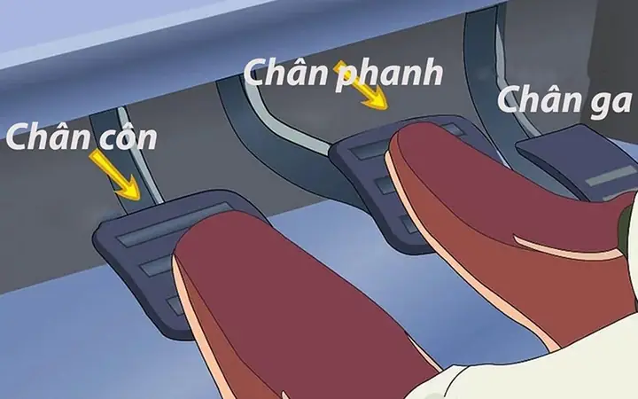 Chân Phanh Và Chân Ga Xe Ô Tô: Sự Khác Biệt Cốt Lõi Và Ảnh Hưởng Đến Cách Lái Xe