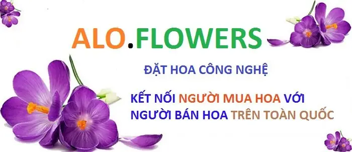 Đánh Giá Dịch Vụ Cứu Hộ Xe Ô Tô Đà Nẵng: Bảng So Sánh & Lời Khuyên Chuyên Sâu Đánh Giá Dịch Vụ Cứu Hộ Xe Ô Tô Đà Nẵng: Bảng So Sánh & Lời Khuyên Chuyên Sâu