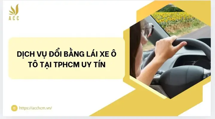 Hướng Dẫn Đổi Bằng Lái Xe Ô Tô Tại Tphcm Đầy Đủ Và Chi Tiết Hướng Dẫn Đổi Bằng Lái Xe Ô Tô Tại Tphcm Đầy Đủ Và Chi Tiết