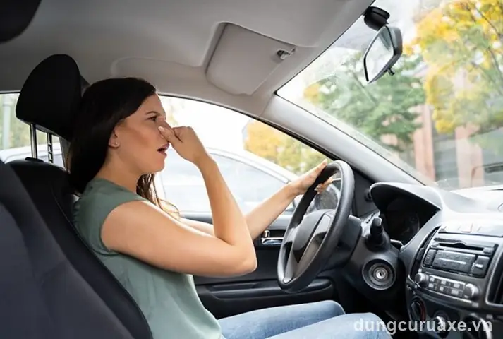 Cách Khử Mùi Hải Sản Trên Xe Ô Tô: Giải Pháp Toàn Diện Cách Khử Mùi Hải Sản Trên Xe Ô Tô: Giải Pháp Toàn Diện