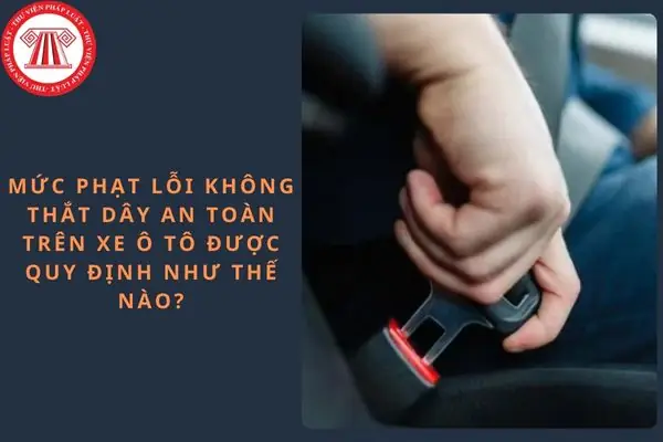 Mức Phạt Lỗi Không Thắt Dây An Toàn Xe Ô Tô 2026: Quy Định Chi Tiết & Bí Quyết An Toàn Mức Phạt Lỗi Không Thắt Dây An Toàn Xe Ô Tô 2026: Quy Định Chi Tiết & Bí Quyết An Toàn