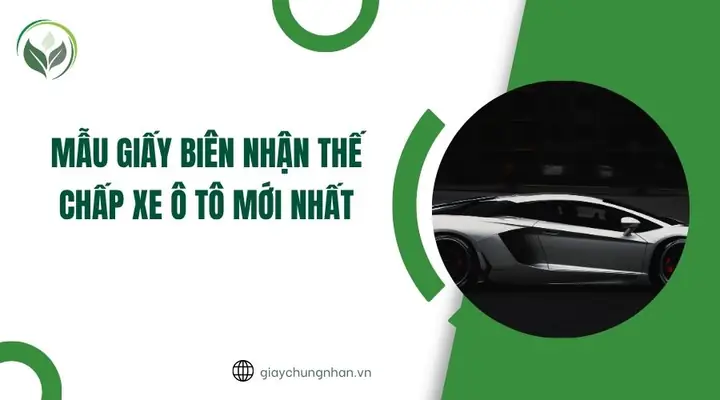 Giấy Biên Nhận Thế Chấp Xe Ô Tô: Tổng Tập Quy Trình & Lưu Ý Quan Trọng