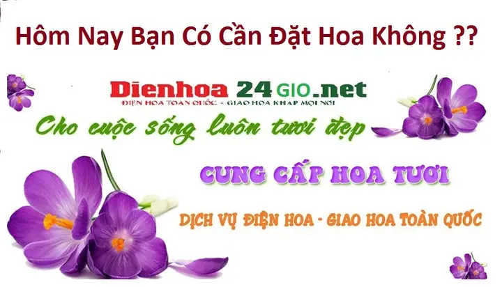 Đánh Giá Chi Tiết: Các Cửa Hàng Phụ Tùng Ô Tô Uy Tín Trên Đường An Dương Vương