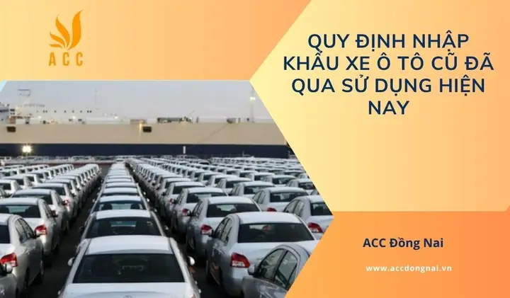 Quy Định Nhập Khẩu Xe Ô Tô Cũ 2026: Điều Kiện, Thủ Tục & Lưu Ý Quan Trọng Quy Định Nhập Khẩu Xe Ô Tô Cũ 2026: Điều Kiện, Thủ Tục & Lưu Ý Quan Trọng