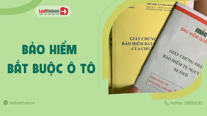 Quyền Lợi Bảo Hiểm Bắt Buộc Xe Ô Tô: Tất Tần Tật Bạn Phải Biết