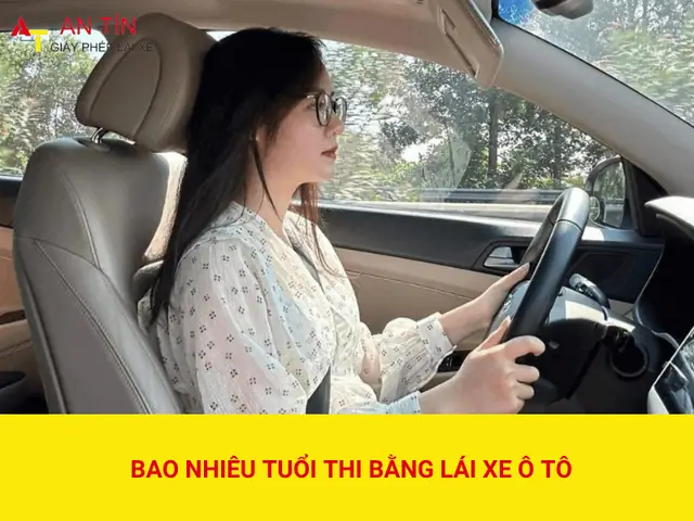 Thi Bằng Lái Xe Ô Tô Hạng D: Điều Kiện & Quy Trình Chuẩn Pháp Luật