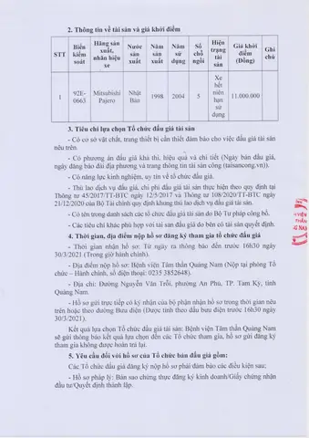 Đấu Giá Biển Số Xe Ô Tô: Hướng Dẫn Toàn Tập Từ A Đến Z Cho Người Dùng Đấu Giá Biển Số Xe Ô Tô: Hướng Dẫn Toàn Tập Từ A Đến Z Cho Người Dùng
