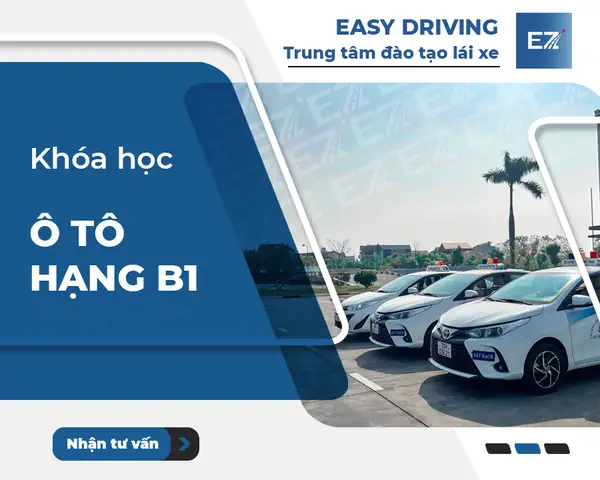Học Bằng Lái Xe Ô Tô Hạng B Số Tự Động: Cẩm Nang Toàn Diện