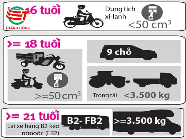 Tuổi Lái Xe Ô Tô Là Bao Nhiêu? Quy Định Chi Tiết 2026
