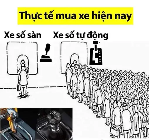 Bằng Lái Xe Ô Tô Số Tự Động Hạng B1: So Sánh Chi Tiết Với B2