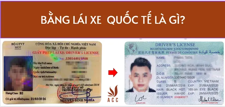 Bằng Lái Xe Ô Tô Tiếng Trung Là Gì? Tất Tần Tật Từ A Đến Z Bằng Lái Xe Ô Tô Tiếng Trung Là Gì? Tất Tần Tật Từ A Đến Z