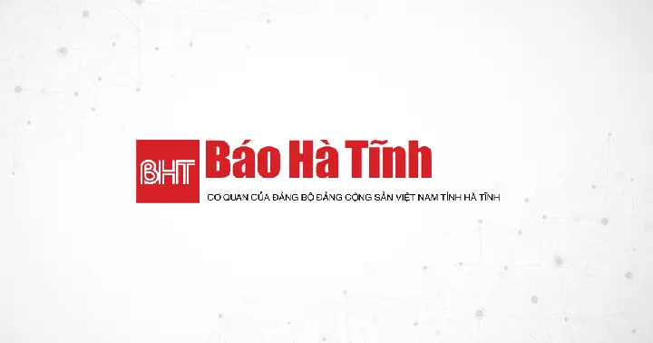 Biển Số Xe Hà Tĩnh: Tất Tần Tật Về Các Dãy Số Đẹp Và Quy Trình Đấu Giá