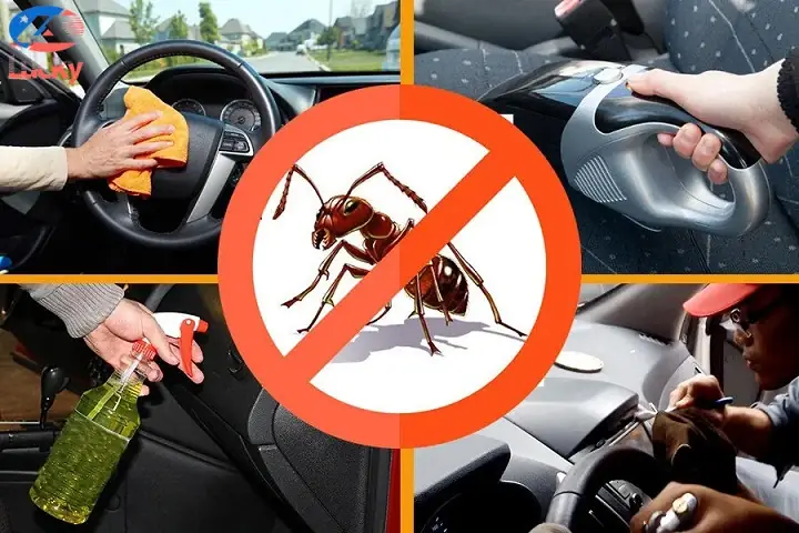 Cách Diệt Kiến Trên Xe Ô Tô Hiệu Quả: Hướng Dẫn Từ Chuyên Gia Cách Diệt Kiến Trên Xe Ô Tô Hiệu Quả: Hướng Dẫn Từ Chuyên Gia
