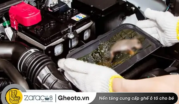 Khử Mùi Hôi Chuột Trong Xe Ô Tô: 6 Cách Triệt Để & Chuyên Sâu
