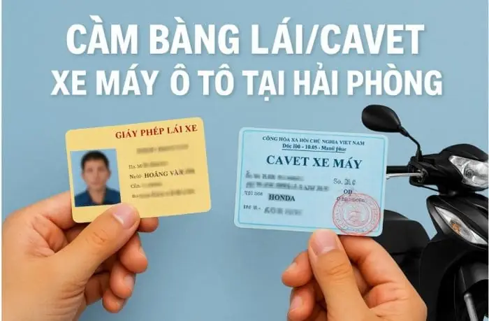 Cầm Bằng Lái Xe Ô Tô Tại Hải Phòng: Hướng Dẫn Chi Tiết Từ A Đến Z