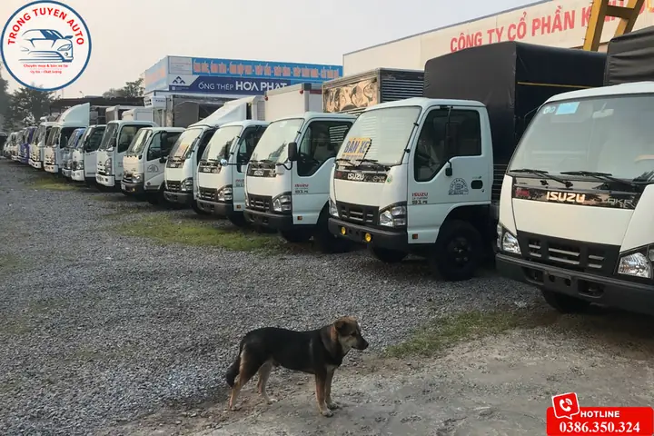 Top 5 Chợ Xe Tải Cũ Tốt Tại Bắc Ninh Dành Cho Người Mua & Bán Top 5 Chợ Xe Tải Cũ Tốt Tại Bắc Ninh Dành Cho Người Mua & Bán