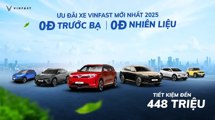 Đánh Giá Mua Xe Vinfast: Lời Khuyên Chọn Đại Lý Uy Tín Từ Chuyên Gia