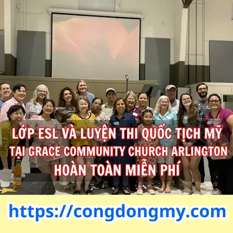 Đăng Kiểm Xe Ô Tô Tiếng Anh Là Gì Đăng Kiểm Xe Ô Tô Tiếng Anh Là Gì