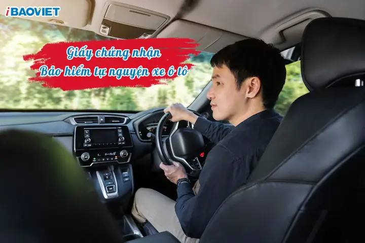 Giấy Chứng Nhận Bảo Hiểm Tự Nguyện Xe Ô Tô Là Gì?