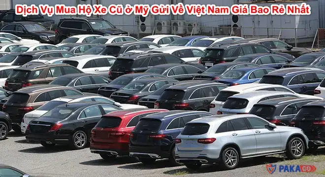 Hướng Dẫn Toàn Diện Gửi Xe Ô Tô Từ Mỹ Về Việt Nam Hướng Dẫn Toàn Diện Gửi Xe Ô Tô Từ Mỹ Về Việt Nam