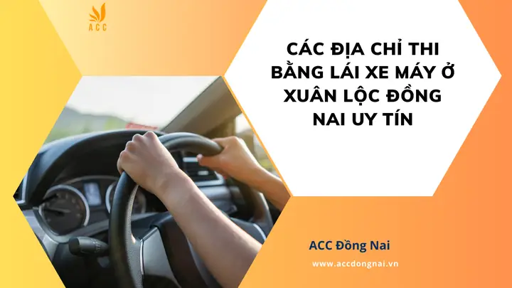 Top 5 Trung Tâm Học Lái Xe Ô Tô Uy Tín Tại Nhơn Trạch Top 5 Trung Tâm Học Lái Xe Ô Tô Uy Tín Tại Nhơn Trạch