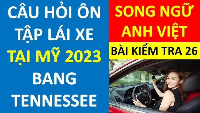 Kiểm Tra Lý Lịch Xe Ô Tô: Quy Trình Chuẩn Từ Chuyên Gia