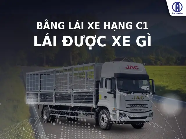 Lái Được Xe Ô Tô Cần Bằng Gì