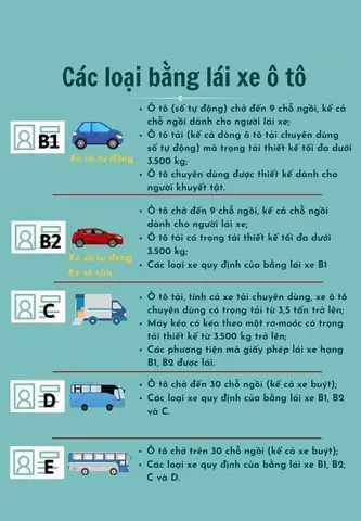 Lái Xe Ô Tô Số