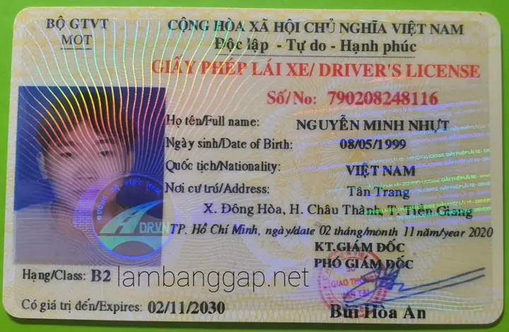Cấp Lại Bằng Lái Xe Ô Tô: Hướng Dẫn Toàn Diện Từ A Đến Z