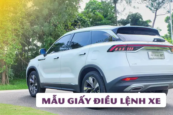 Lệnh Điều Xe Ô Tô Con