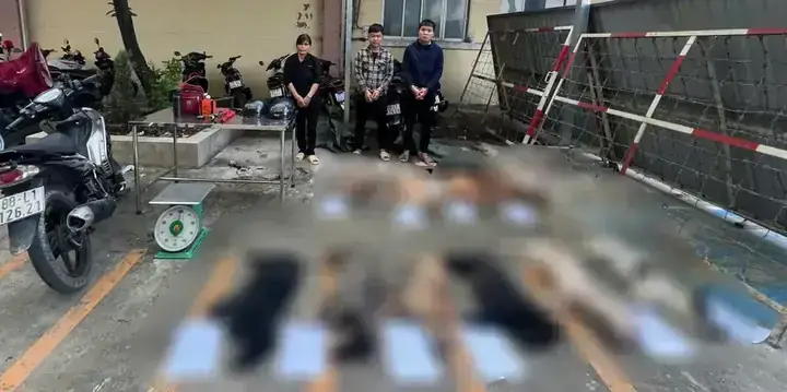Lò Mổ Xe Ô Tô: Quy Trình, Pháp Lý & Hướng Dẫn Thanh Lý An Toàn Lò Mổ Xe Ô Tô: Quy Trình, Pháp Lý & Hướng Dẫn Thanh Lý An Toàn