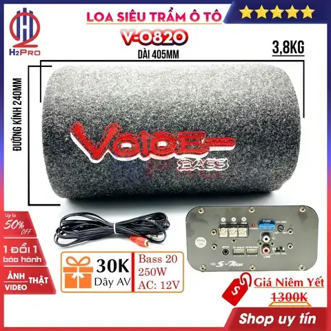 Loa 12v Gắn Xe Ô Tô