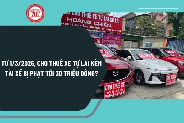 Luật Cho Thuê Xe Ô Tô Luật Cho Thuê Xe Ô Tô