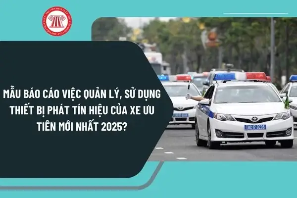 Mẫu Báo Cáo Quản Lý Xe Ô Tô