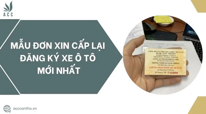 Hướng Dẫn Chi Tiết Mẫu Đơn Xin Cấp Lại Đăng Ký Xe Ô Tô 2026 Hướng Dẫn Chi Tiết Mẫu Đơn Xin Cấp Lại Đăng Ký Xe Ô Tô 2026