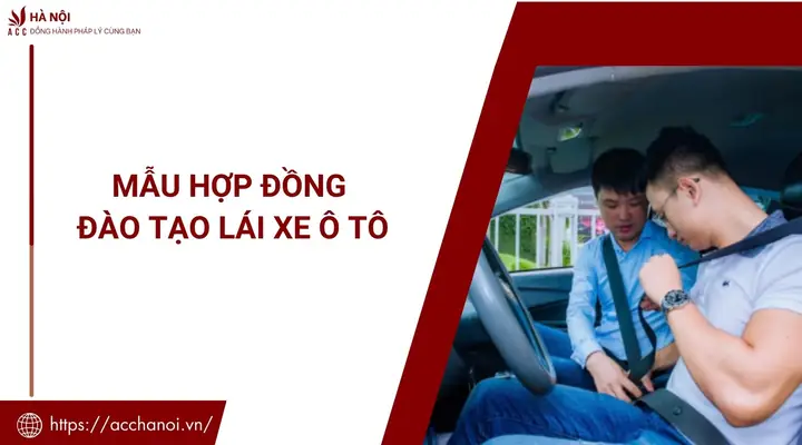 Mẫu Hợp Đồng Lái Xe Ô Tô Mẫu Hợp Đồng Lái Xe Ô Tô