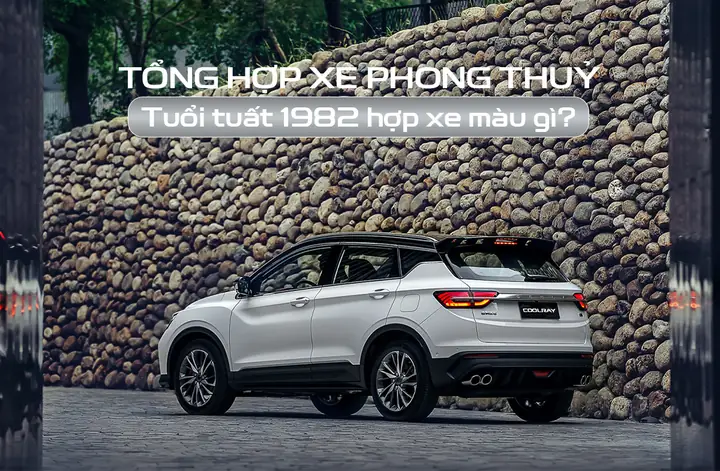 Màu Xe Ô Tô Hợp Tuổi 1982