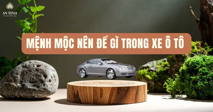 Mệnh Mộc Nên Để Gì Trong Xe Ô Tô? Mệnh Mộc Nên Để Gì Trong Xe Ô Tô?
