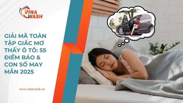 Mơ Thấy Ngồi Sau Xe Ô Tô Mơ Thấy Ngồi Sau Xe Ô Tô