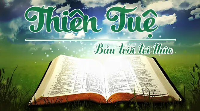 Hướng Dẫn Lùi Xe Ô Tô An Toàn Và Chính Xác Cho Tài Xế Mới