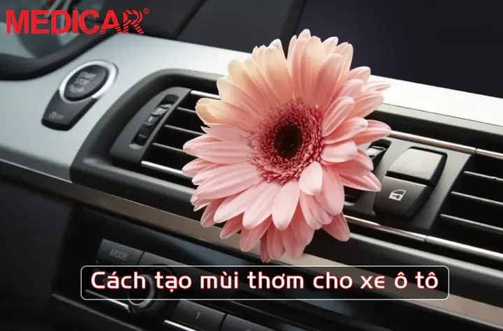 Cách Tạo Mùi Thơm Cho Xe Ô Tô: Hướng Dẫn Chi Tiết Từ Chuyên Gia Cách Tạo Mùi Thơm Cho Xe Ô Tô: Hướng Dẫn Chi Tiết Từ Chuyên Gia