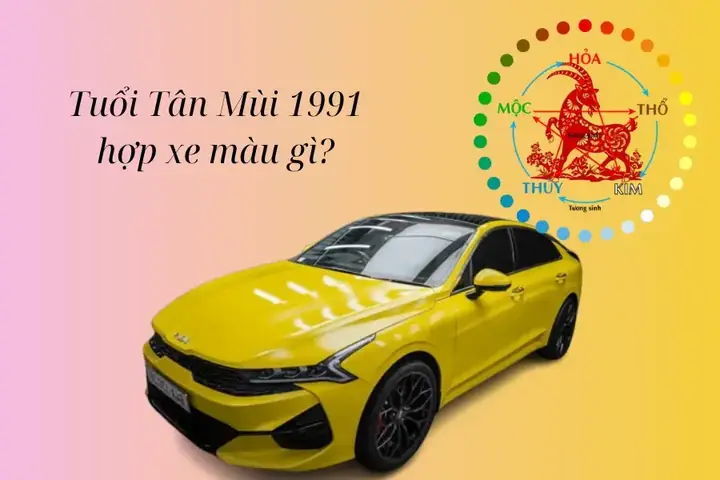 Nam Sinh Năm 1991 Đi Xe Ô Tô Màu Gì