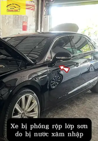 Phồng Rộp Trên Xe Ô Tô Phồng Rộp Trên Xe Ô Tô