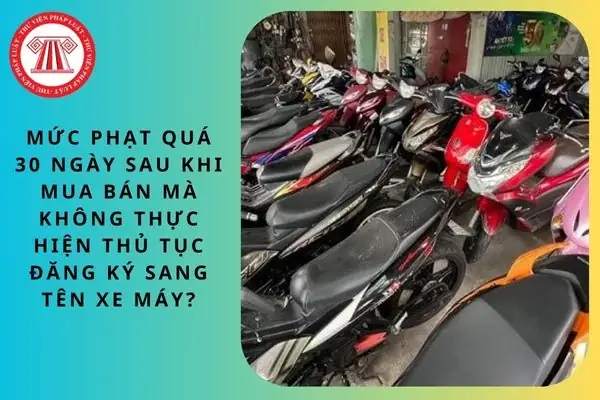 Sau 30 Ngày Không Sang Tên Xe Ô Tô