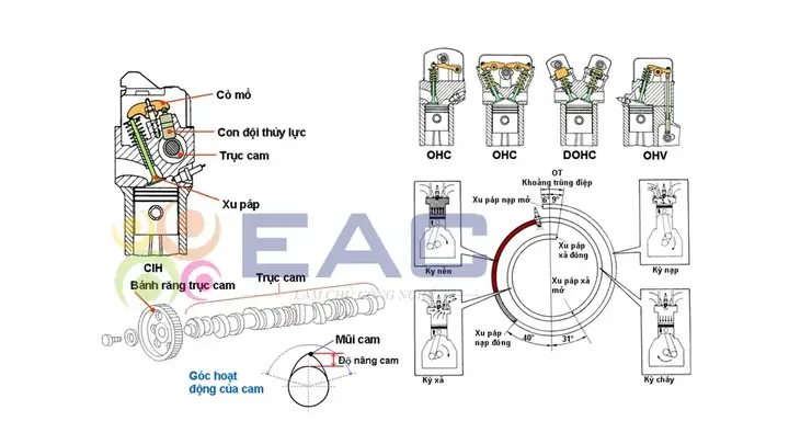 Sơ Đồ Phân Phối Xe Ô Tô Sơ Đồ Phân Phối Xe Ô Tô