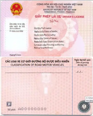 Cẩm Nang Toàn Diện Về Giấy Phép Lái Xe Ô Tô Tại Việt Nam